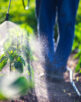 Farmer spraying vegetable green plants in the garden with herbicides, pesticides or insecticides