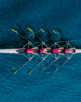 Women’s rowing team on blue water