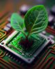 Growing tree on the converging point of acomputer circuit board. Nature with Digital Convergence and Technological Convergence. Green Computing, Green Technology, Green IT, csr, Generative Ai