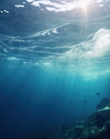 Mystical Underwater Oasis.