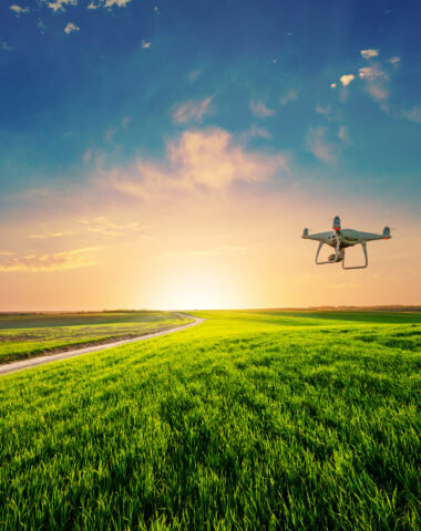 drone quad copter on green corn field