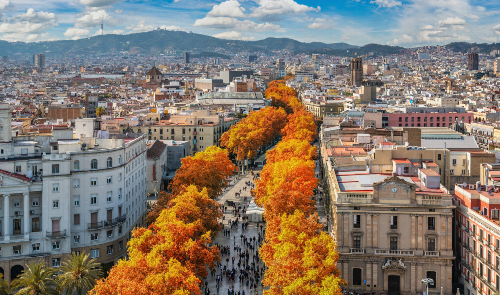 Barcelona Spain, high angle view city skyline at La Rambla street with autumn foliage season