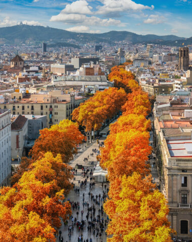 Barcelona Spain, high angle view city skyline at La Rambla street with autumn foliage season