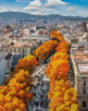 Barcelona Spain, high angle view city skyline at La Rambla street with autumn foliage season