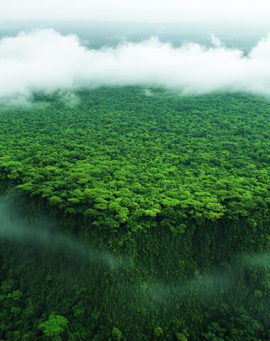 A cloud formation above a dense rainforest, symbolizing the natural cycle of weather patterns and climate in the Amazon