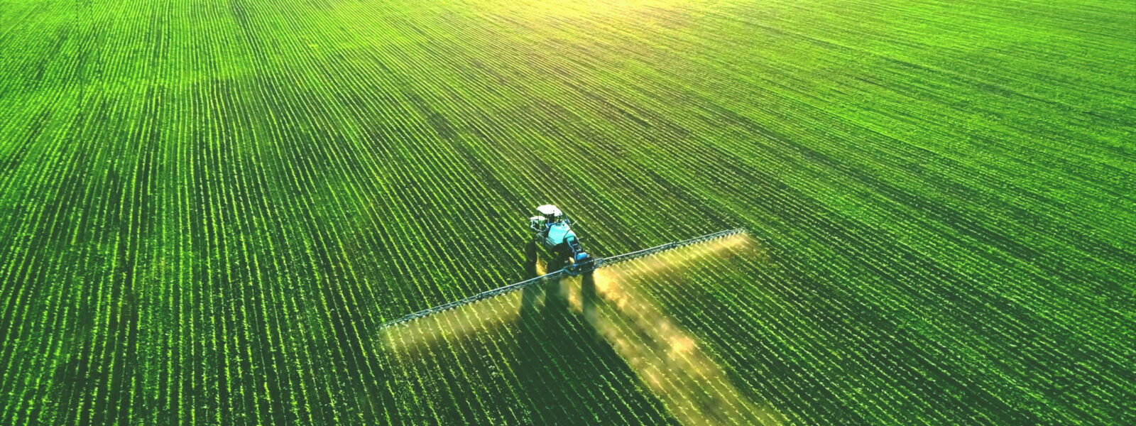 Tractor spray fertilizer on green field drone high angle view, a